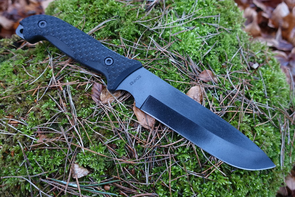 42994343xn.jpg