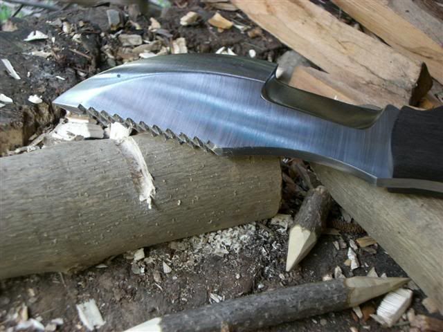 CIMG2919Small.jpg