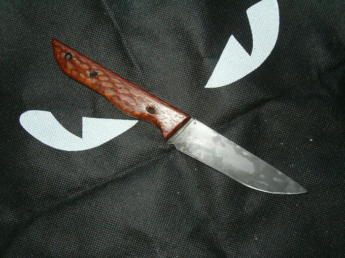 795159.jpg
