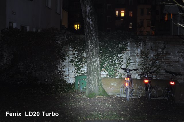 DSC_1330.JPG