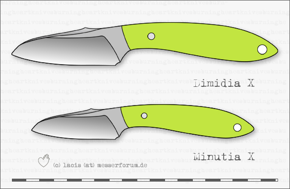 dimidia-minutia1.jpg