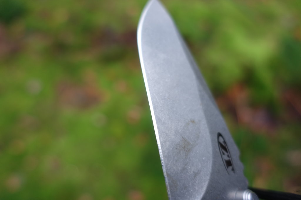 42649731zj.jpg