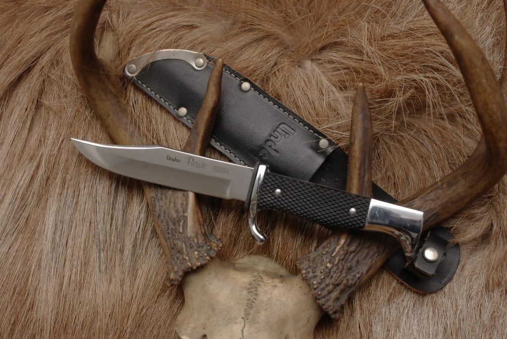 LinderPfadfinderBowie.jpg