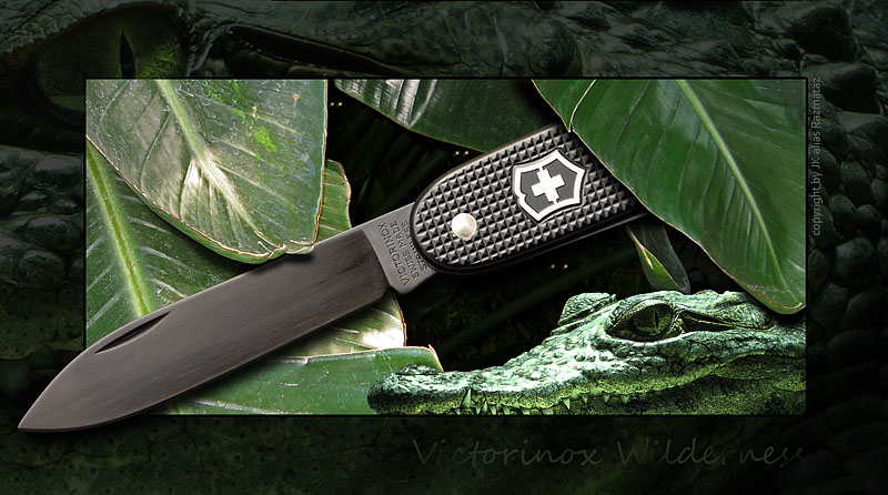 SakAloxWildernessBlack_2_94c.jpg