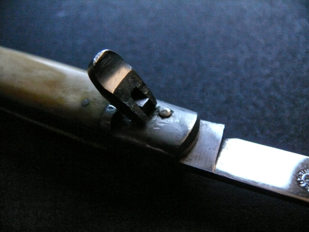 zG3VZ16.jpg