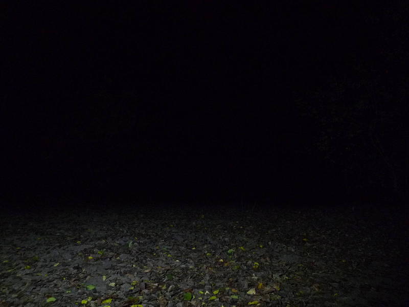 P1020100.JPG
