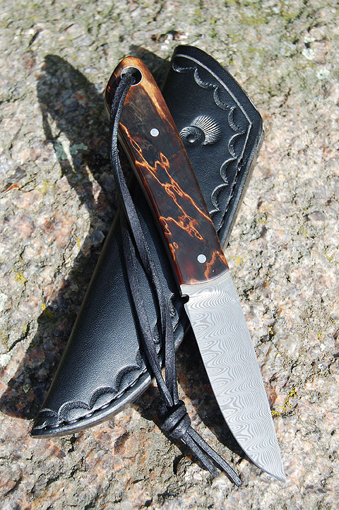 dama01.jpg