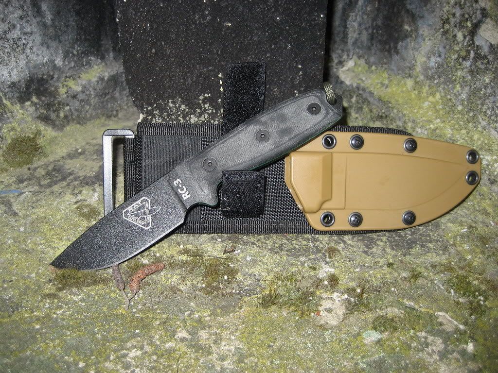 RC-3klein09.jpg