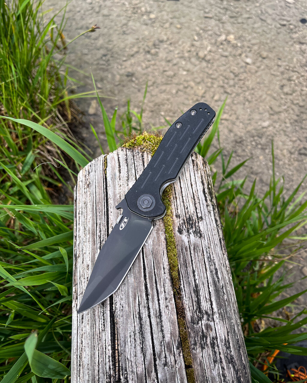 48617107hf.jpg