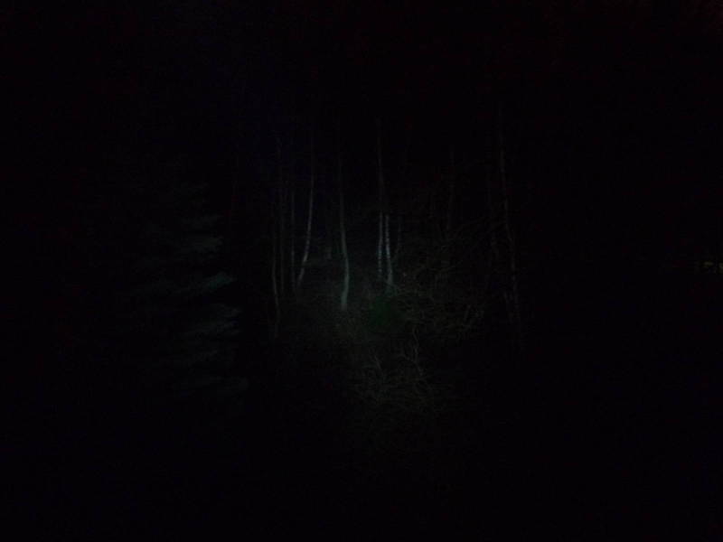 P1020417.JPG