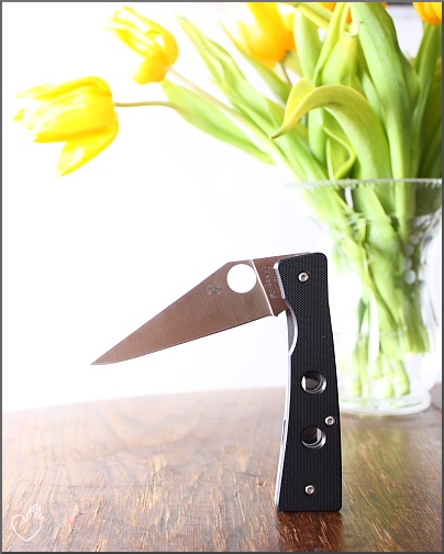 spyderco_chokwe_001.JPG