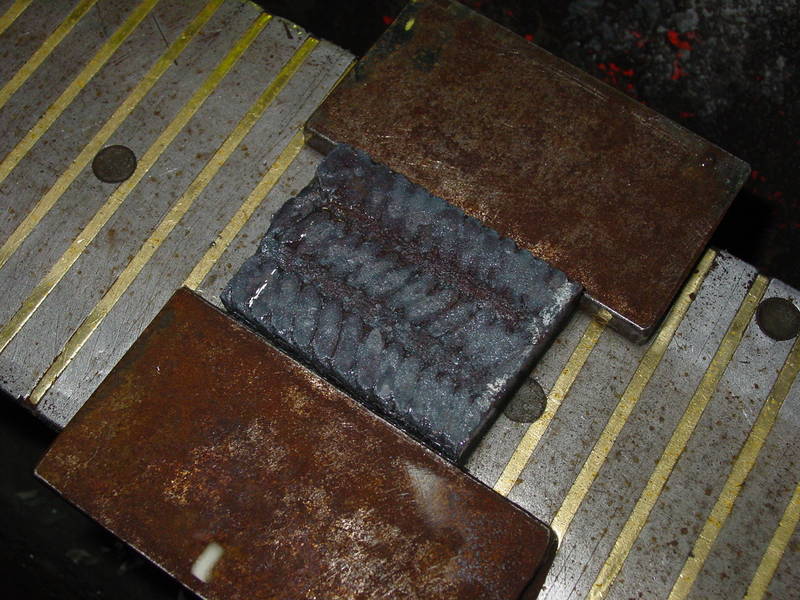 DSC00658.JPG