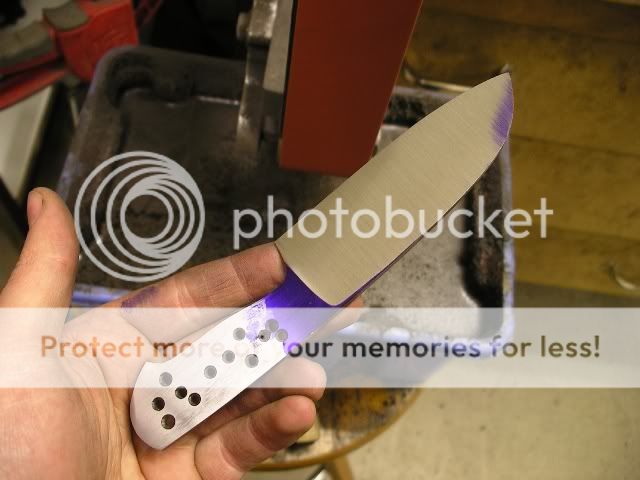 IMGP5287.jpg