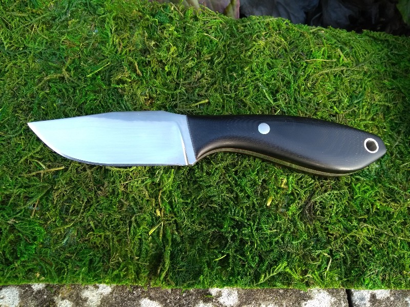M3902.jpg