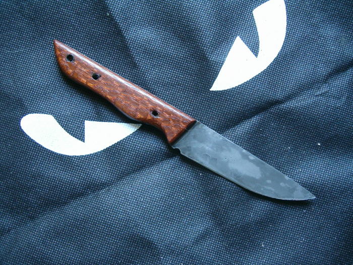 795147.jpg