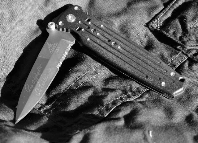 Gerber_AFC_bw.jpg