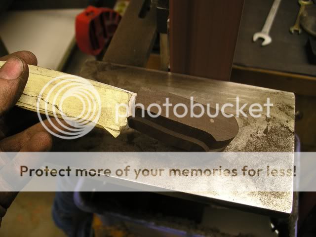 IMGP5326.jpg