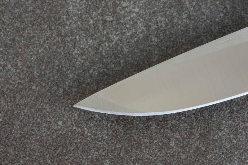 SpydercoVallotton16_zps86e0ab94.jpg
