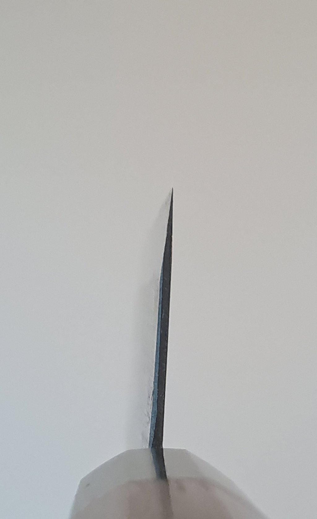 47648850yh.jpg