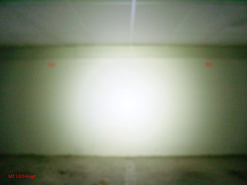 213_p2031.jpg