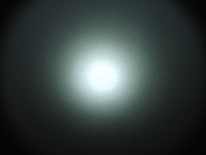 CIMG3668.jpg