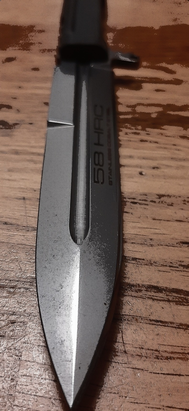 45550271ic.jpg