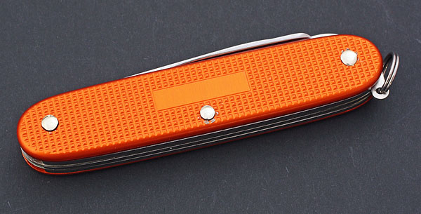 Vic_Farmer_orange_6.jpg