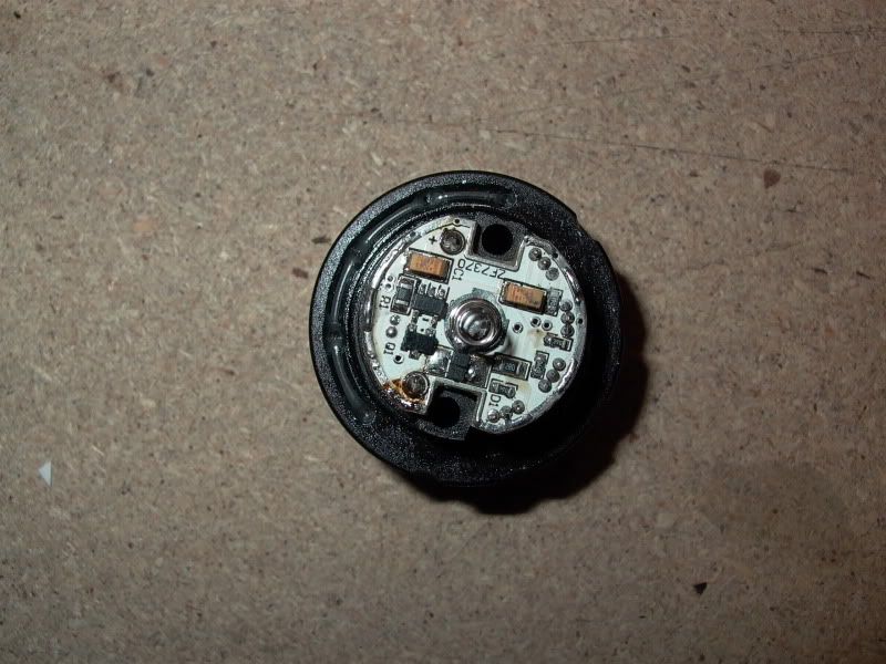 P1000069.jpg