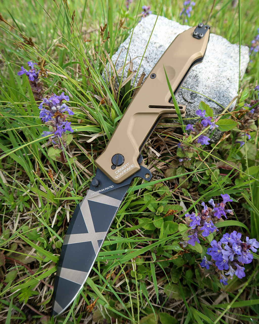 48367615pr.jpg