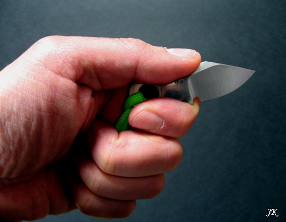 CimexHandU4.jpg