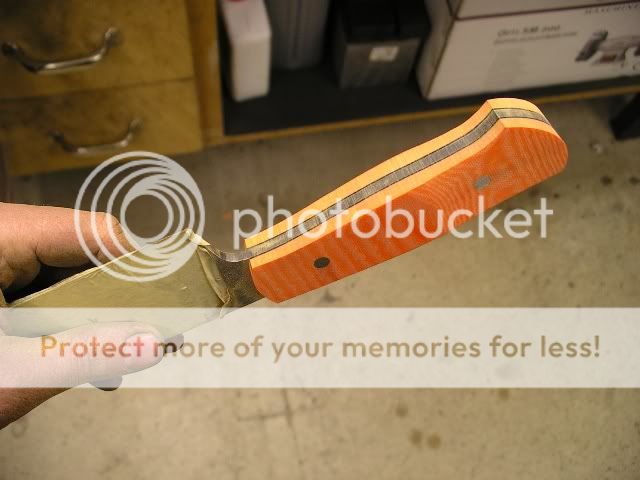 IMGP5341.jpg