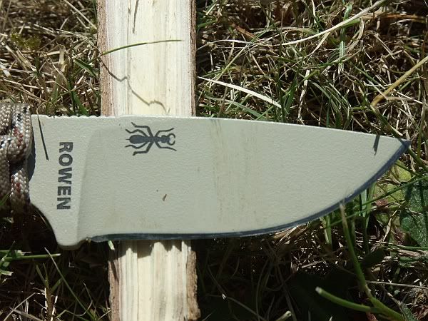 izula3.jpg