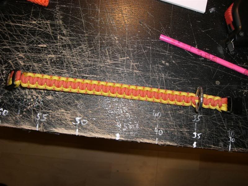 CIMG2711Medium.jpg