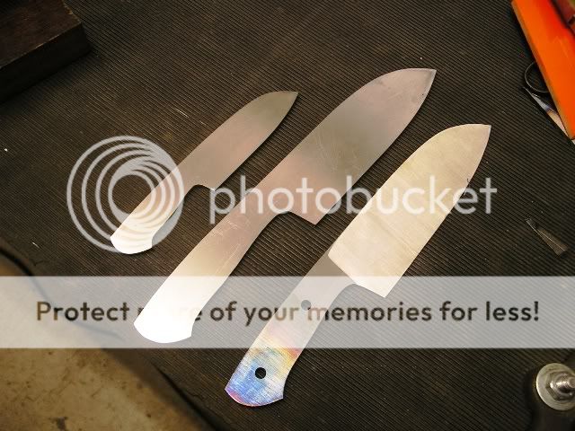IMGP5208.jpg
