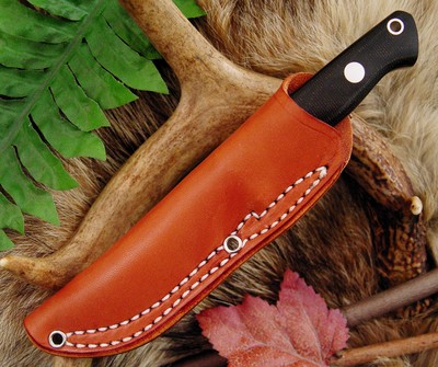 Sheath_sized.jpg