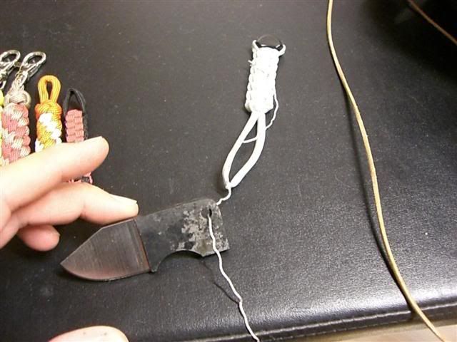 CIMG3116Small.jpg