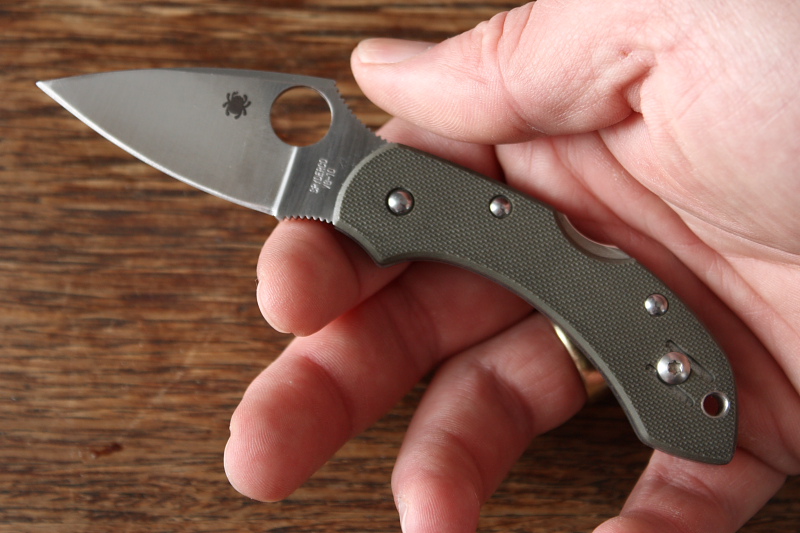 Spyderco_drangonfly_007.JPG