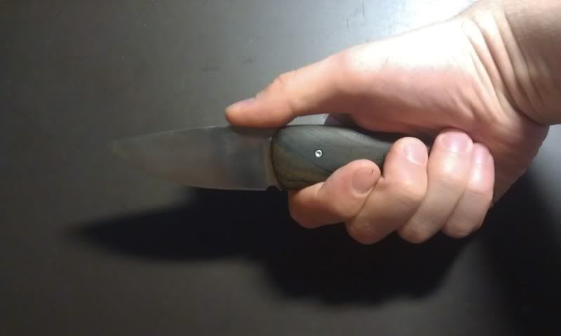 IMAG0188.jpg