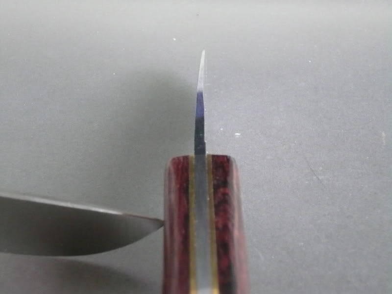 P1000334.jpg