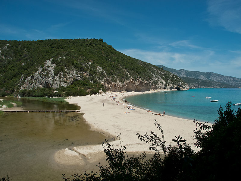 DSCN0742.jpg