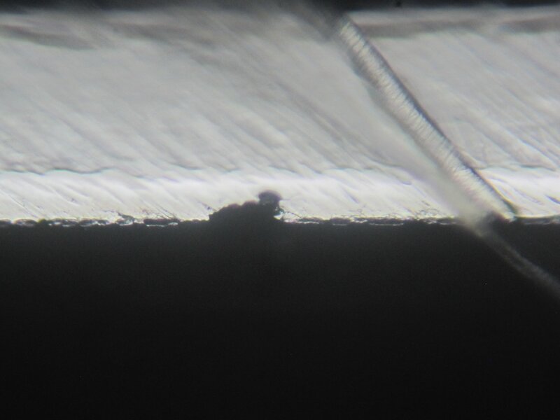 48901141go.jpg