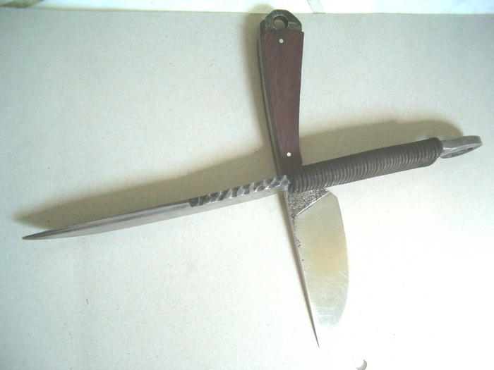 4762410.jpg