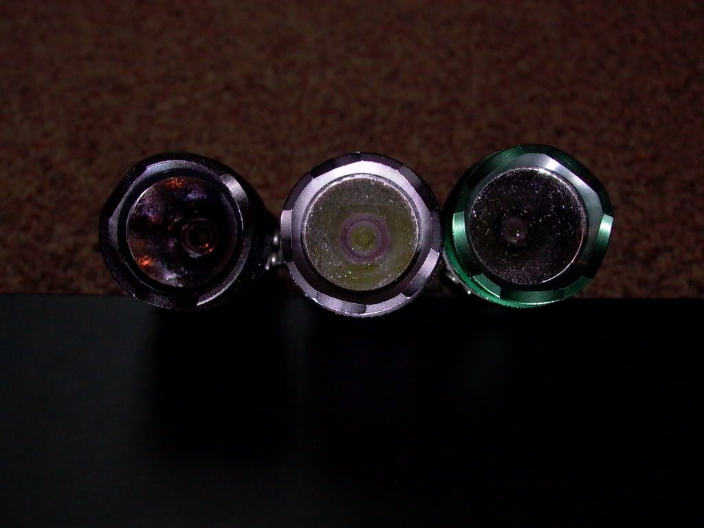 P1000100.jpg