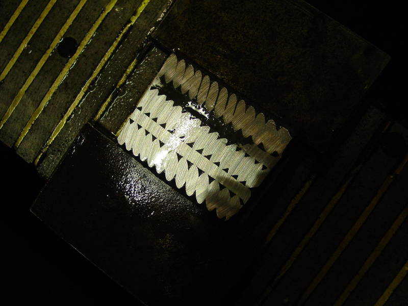DSC00660.JPG