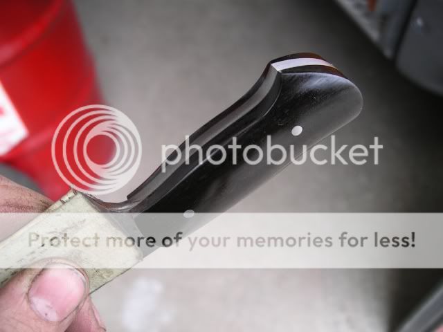IMGP5403.jpg