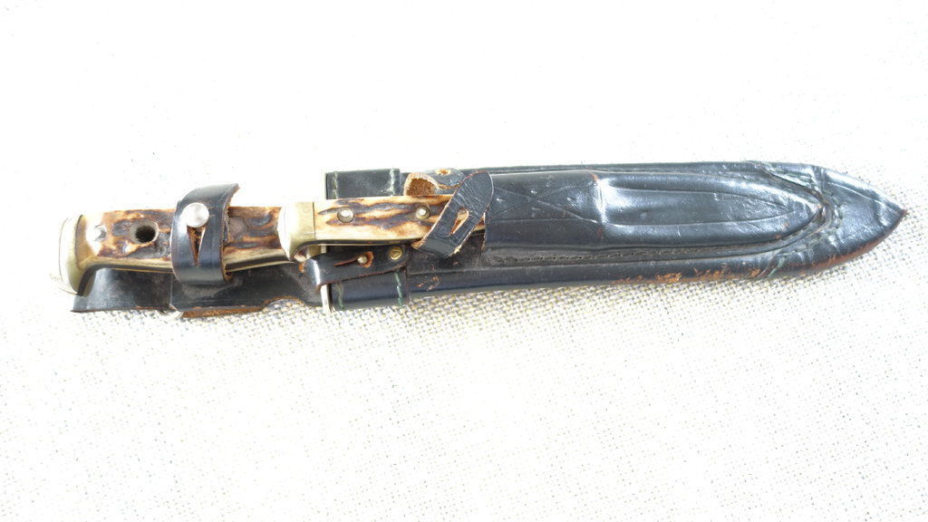 45522960vn.jpg
