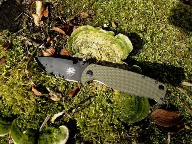 DPx_HEST_20_002.jpg
