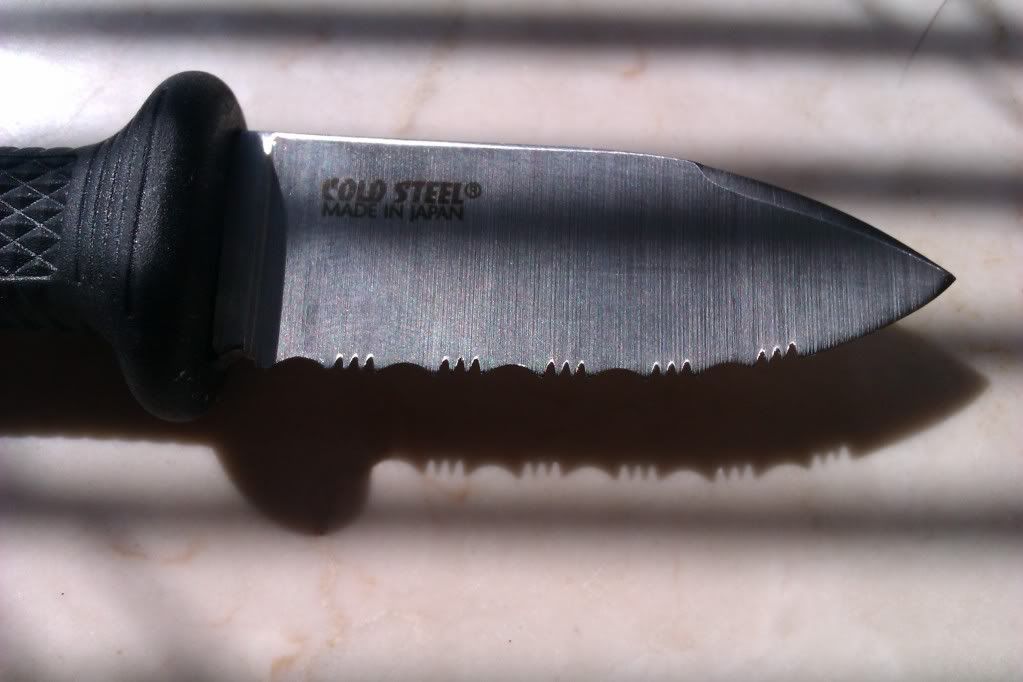 IMAG0181.jpg