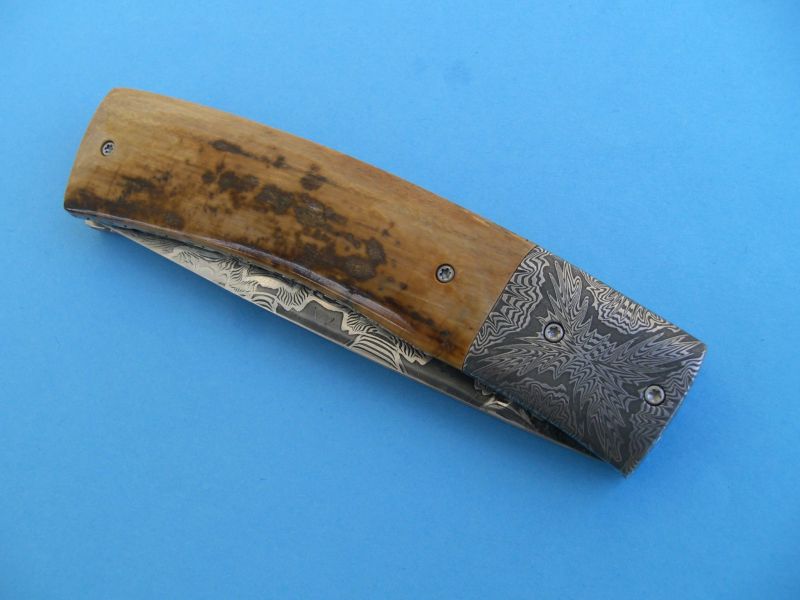 319.jpg