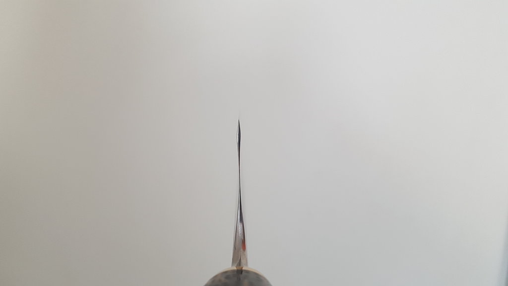 45884028fn.jpg